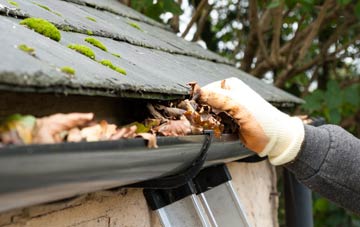 gutter cleaning Salterswall, Cheshire
